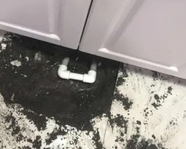 汤旺河查漏水哪家好